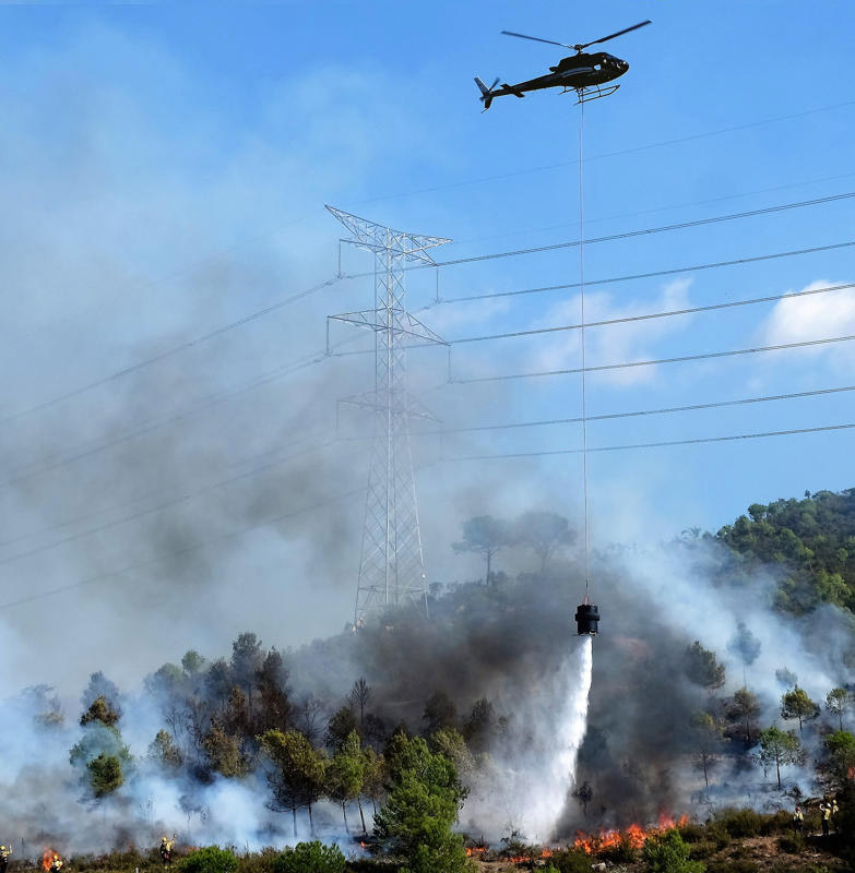 LeoSystem, tipo bambi bucket